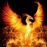 Fenix